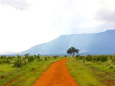 Read More - FGHL Blog: Gretchen Edwards - Blog 2 from Kijabe, Kenya