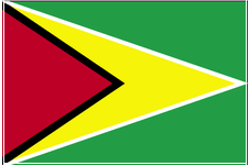 flag of guyana