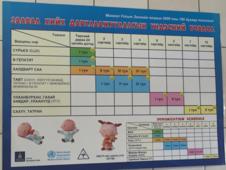 Vaccination Chart (The one on the bottom is in English) FYI this is what Mongolian Cyrillic looks like 